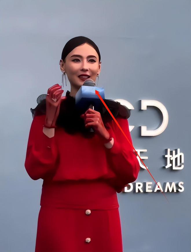 柏芝脸包头被和于适贴脸的刘嘉玲惊艳AG真人平台澳门红毯：舒淇又嫩了张(图3)