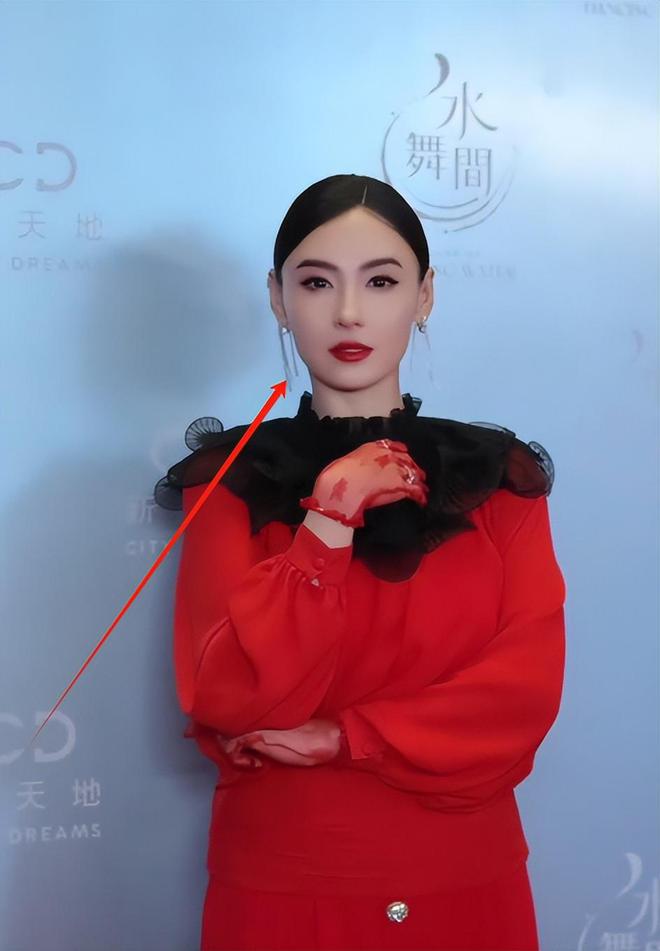 柏芝脸包头被和于适贴脸的刘嘉玲惊艳AG真人平台澳门红毯：舒淇又嫩了张(图7)