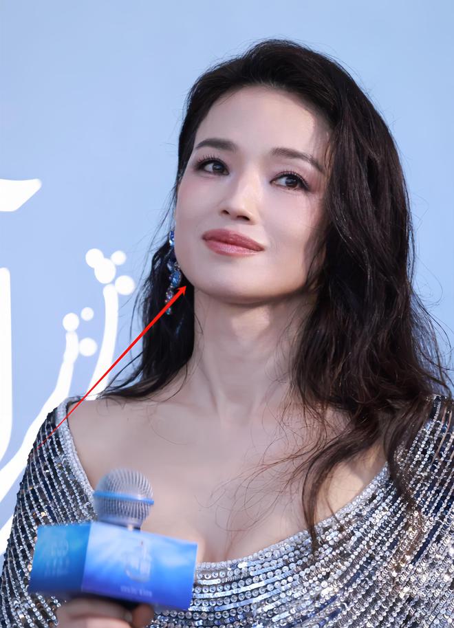 柏芝脸包头被和于适贴脸的刘嘉玲惊艳AG真人平台澳门红毯：舒淇又嫩了张(图18)