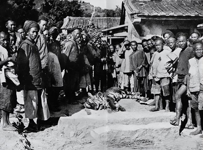 毙虎百姓：晚清照片里的社会切片AG真人旗人婚礼、蒙古郡王、(图2)