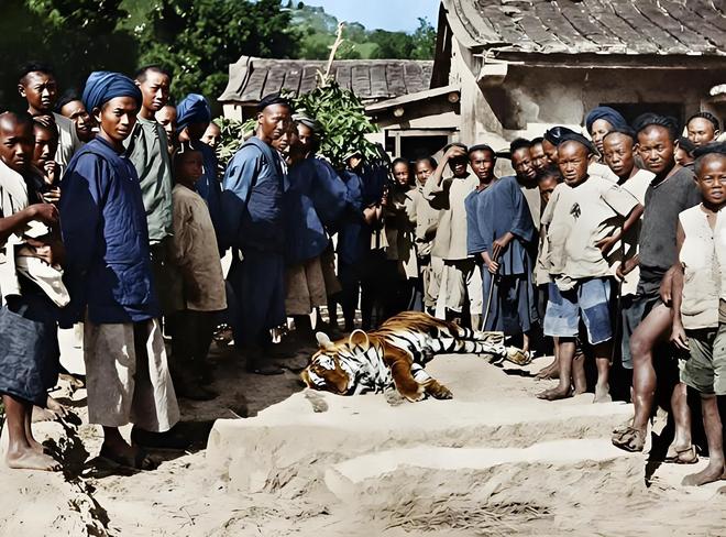 毙虎百姓：晚清照片里的社会切片AG真人旗人婚礼、蒙古郡王、(图5)